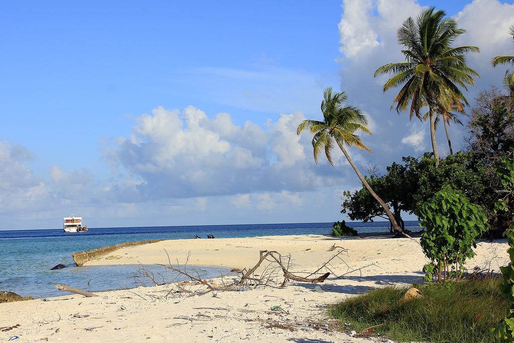 Отель Tropic Tree Maldives Гали Экстерьер фото