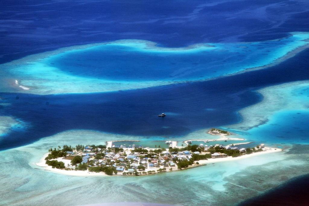 Отель Tropic Tree Maldives Гали Экстерьер фото